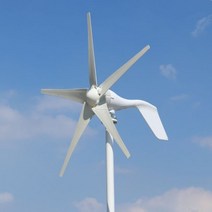 1000w 풍력 터빈 발전기 12V 24V 48V DC 220v AC 홈 시스템 무료 녹색 대체 에너지 태양 전지 패널 가정용 솔루션, 24V_Wind Turbine Only | 600W 5