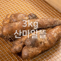 태산농장 마 안동마, 1개, 3kg (산마 알뜰)