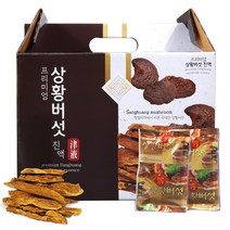 건강중심 장수 상황버섯 진액 100ml 60포 상황버섯즙, 2박스