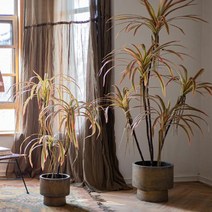 대형 드라세나 2.4m 마지나타 머리트리 드래곤 블러드 인조나무 고퀄 수입 조화 나무화분, 1.null, 4.37.5cm + 무지개 드래