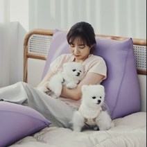 생활특권 등받이 쿠션 쇼파 쿠션 삼각 쿠션, 블루