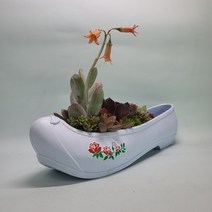 코 고무신 화분