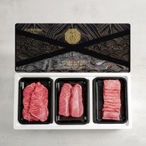 우마왕 한우 1++ 투뿔 구이용 명품 선물세트 리본메시지, 600g, (삼복)등심+갈비살+채끝