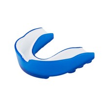 복싱 격투기 마우스피스 운동용 주짓수 농구 성인 마우스 가드 실리콘 치아 보호기 스포츠 축구 하키 가라테 무에타이 보호 마우스 가드, 푸른