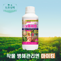고추 비료 탄저병 반점세균병 화상병 시들음병 역병 세균성구멍병 약 친환경 농약 식물 해충제, 1개
