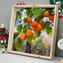 ce910-우드프레임액자_돈부르는감나무(중형), 1.타입1