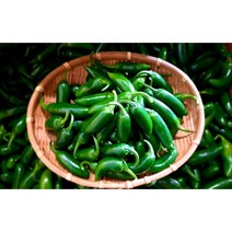 (가락시장까망콩) 피클 장아찌용 할라피뇨 퍼팩트 아삭이고추 3kg, 1kg, 3개