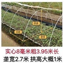 비닐 하우스 작은 아치 창고 브래킷 야채 창고 단열 창고 꽃 창고 유리 섬유 강화 플라스틱 섬유 막대 고체 농업 온실 야채 온실 골격, 8mm 두께 3.95m 길이 10(스팬 2.5-3