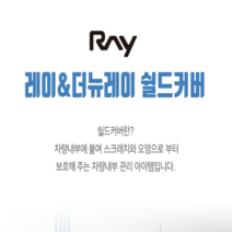 이투피 레이&더뉴레이 전용 스크레치방지 쉴드커버, 2열 시트등받이, 기아