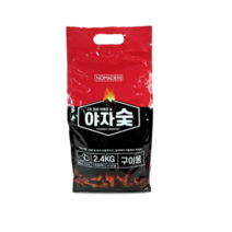 노마드 야자숯 간편 점화형, 2.4kg, 1개