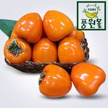 산지직송 고당도 대봉감 5KG/10KG, 대봉감 10kg 45~55과