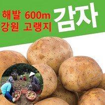 산지직송 국내산 강원도 고랭지 유기농 감자 5kg/10kg 강원도감자 홍감자 수미감자 감자샐러드 감자튀김 웨지감자 감자칩 다이어트샐러드 포테이토칩 감자과자 못난이농산물 감자전분, 특품, 10kg