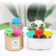 식물이름 물주는 시간 메모 화분꽂이 이름표 100p, 1 화분이름소형100개