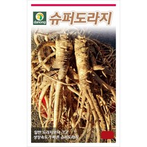 다농 슈퍼도라지 씨앗 5g, 단품