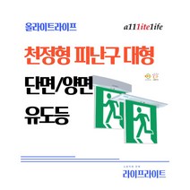 [올라이트라이프] alllitelife 소방 LED 피난구 천정형 대형 유도등 ICS250SL ICS250DL, 매립, 양면, 무방향
