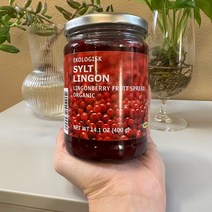 IKEA Sylt Lingon 이케아 링곤베리 잼 400g, 1