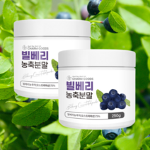 오스트리아산 빌베리 고함량 농축분말 250g 눈건강 bilberry, 250g 2개