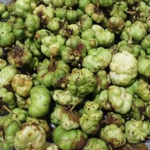 2022년 깊은산 건조 충영300g 개다래열매 개다래줄기 직접채취 깨끗한세척, 개다래줄기600g, 1개