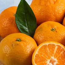 영화청과 특급 국내산 귤 타이벡 블로초 노지 조생 효돈 1kg, 1개, 본 상품 선택하기