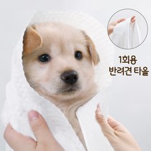 1회용 반려견 타올 펫타올 강아지 목욕용품 강아지 수건 강아지수건 1회용 수건