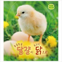 [800K]동글동글 달걀이 푸드덕 닭으로-한살이 자연 관찰, 없음