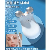 가정용미세전류미용기기 리프팅 페이스 마사지 롤러형 도입기, 그린