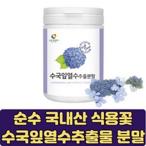 수국잎 열수 추출물 식용 꽃 카페인없는 차 먹을수있는 식용수국 산수국 물대용 클린주스 HYDRANGEA 약용식물 산수국잎 하이드란제놀 물에타먹는 가루 먹는꽃 식단조절 수국 물대신, 100gX6개(10%할인), 6개