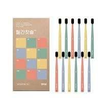 [월간칫솔] 부드러운 미세모-베이직/컬러풀, 2.컬러풀