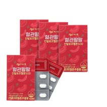 혈관팔팔 피부팔팔 120캡슐(2개월), 0