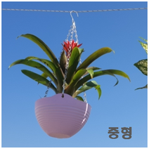 걸이형 행잉화분 빈화분 중형, 단품