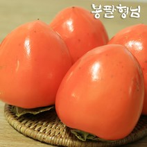 대봉감 5kg (14-16과) 곶감용 전라도 대봉시, 단품