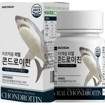철갑상어연골 무릎연골좋은음식 연골재생 콘트로이친가루 무릎통증에좋은약 골밀도저하 골다공증에좋은음식 골밀도수치 골밀도영양제 상어연골 상어연골칼슘 상어연골정 글루코사민상어연골