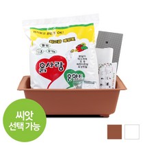 화분월드 가드닝 베란다 텃밭 채소키우기 행복화분 + 흙 7종세트, 화이트 텃밭세트
