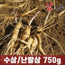 금산인삼 5년근 6년근 수삼 난발삼 원수삼 세척무료 750g 1채, 2.세척-원삼 중 750g 12-14뿌리