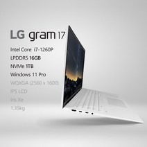 LG전자 2022 그램17(12세대) 17ZD90Q-GX76K [프리미엄 패키지] + 사은품 증정, Win11 Pro, 16GB, 1TB