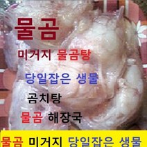 (쌍다리상회) 물곰 물곰치 1-3마리 토막손질 5-10분, 생물 물곰치 3kg내외 토막손질 8-10인분 생물