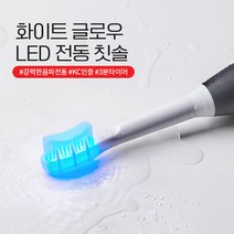 덴티럽 LED 전동칫솔 리필모, 1세트