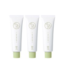 [식물성 비건치약] 가온 허브 담은 치약 100ml X 3개