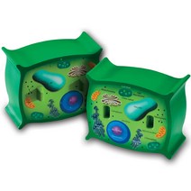 러닝리소스 식물 세포 단면 모형 Cross-Section Plant Cell Model