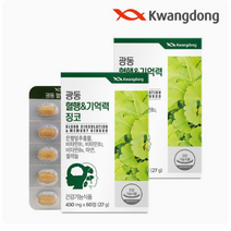 광동 혈행 &기억력 징코 27g, 60정, 2개