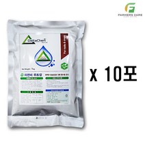 코리아아그로 루트칼 1kg 10포 수저지급 코리아아그로 칼슘관주비료 복합비료 식물 영양제 모두싹 혼용 딸기 토마토 감자 고구마 고추 배추 파머스케어, 루트칼1kg 10포 + 계량수저지급