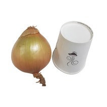 햇양파 4kg 중