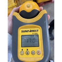 설국향 신비향 수라향 아스미 아스키 고당도 제주직송, 5kg 내외 (20~30과)