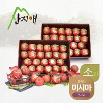 [산지애] 씻어나온 어린이 꿀사과 5kg+5kg (48~58과), 단품