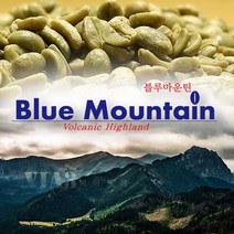 [비아트레] 카메룬 블루마운틴 피베리(peaberry) 생두 1kg, 1개