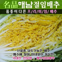 (산지직송) 명품해남절임배추 20kg (최고비싼품종 30년배추농사), 11월15일(화)도착