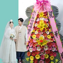 축하화환 안성예식장 안성 인지동 꽃집 가계오픈 축하 화환 당일 꽃배달