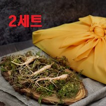 경성건강원 강원도 산양산삼 5 6년근 5뿌리 진세노사이드 면역 장뇌삼 산삼 고급건강선물세트, 2개, 산양삼5뿌리