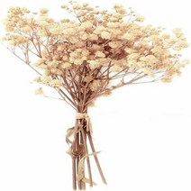 부케돔 미니 건조 아기 숨결 아이보리 흰색 꽃다발 헤어 웨딩 테이블 홈 크리스마스 가을, 6.Ivory white - 30g
