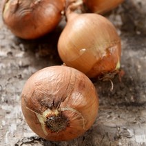 아삭아삭 국내산 양파, 양파 5kg (특)